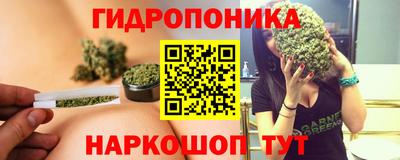 крисы Пушкино