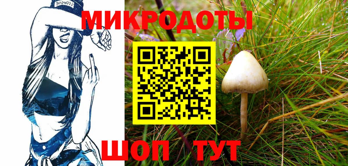 Галлюциногенные грибы Psilocybine cubensis Сланцы