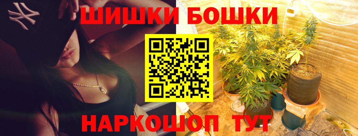 Шишки марихуана конопля Сланцы